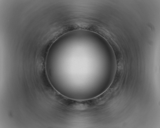 X0000113530464200909181138