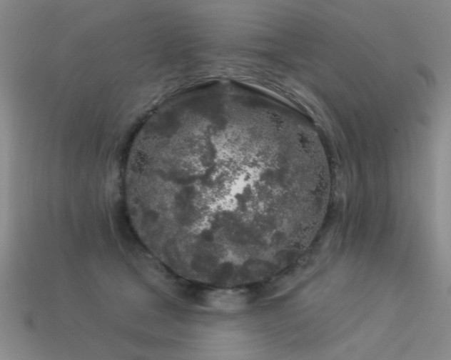 X0000113530465200909181138