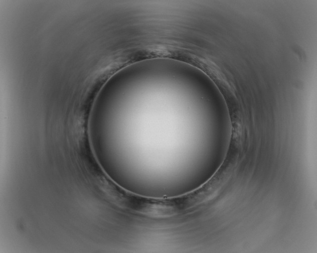 X0000113530466200909181138