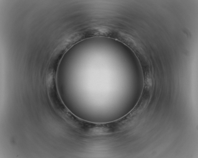 X0000113530468200909181138