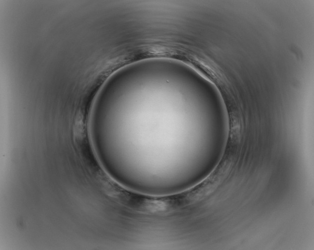 X0000113530469200909181138