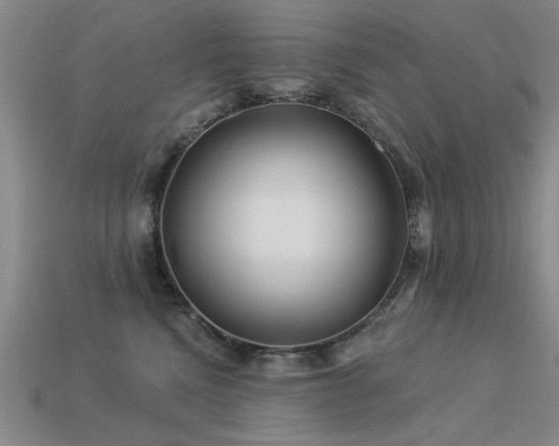 X0000113530472200909181139