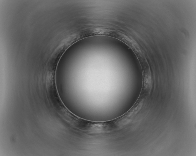 X0000113530473200909181139