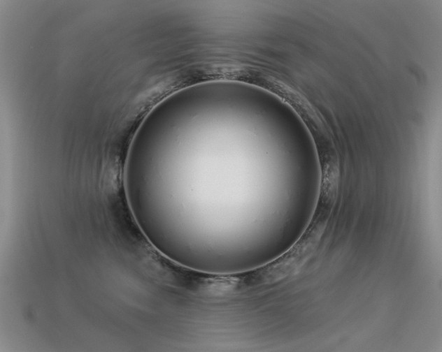 X0000113530474200909181139