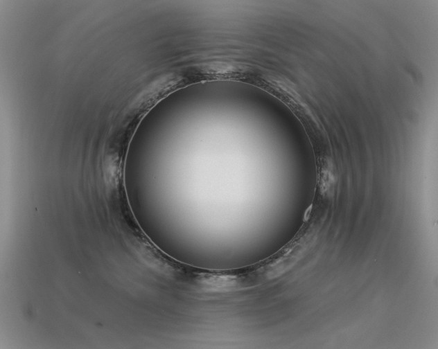 X0000113530476200909181139