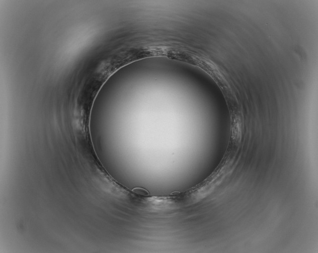 X0000113530477200909181139