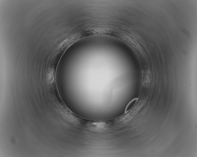 X0000113530478200909181139