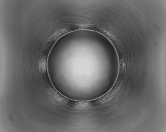 X0000113530479200909181139