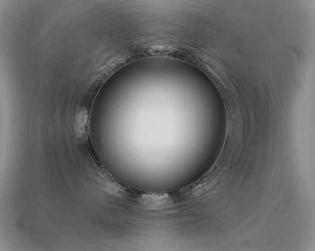 X0000113530480200909181139
