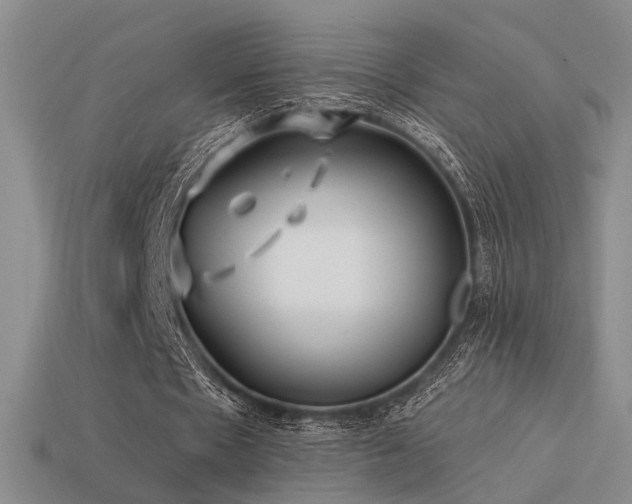 X0000113530481200909181138
