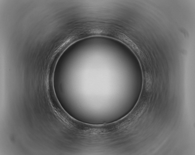 X0000113530482200909181138