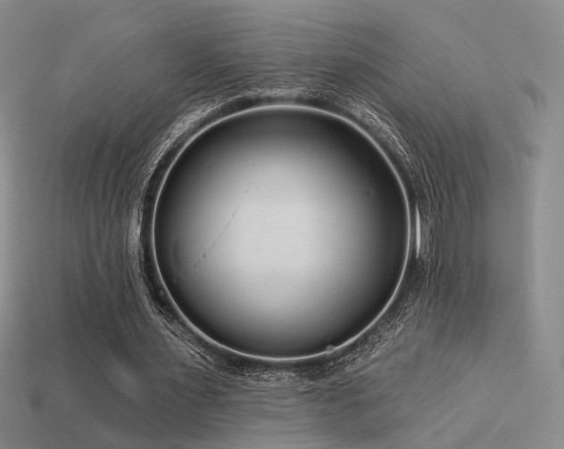 X0000113530483200909181138