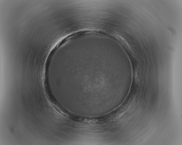 X0000113530484200909181138