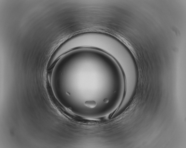 X0000113530485200909181138