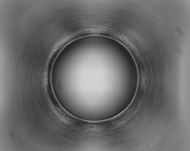 X0000113530486200909181138