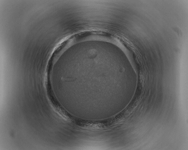 X0000113530488200909181138