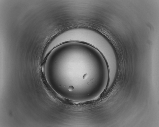 X0000113530489200909181138