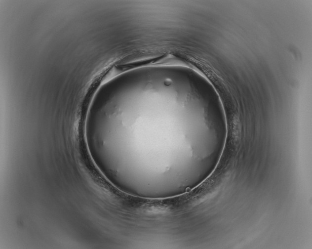 X0000113530491200909181138
