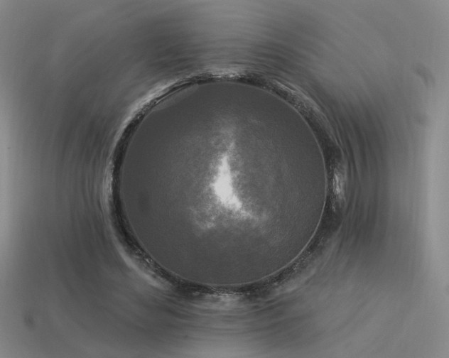 X0000113530492200909181138