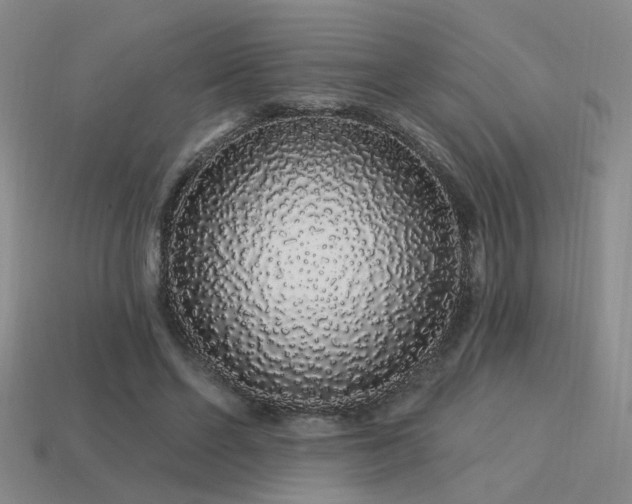 X0000113530494200909181138