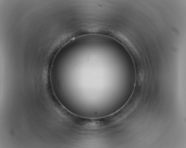 X0000113530497200909181138