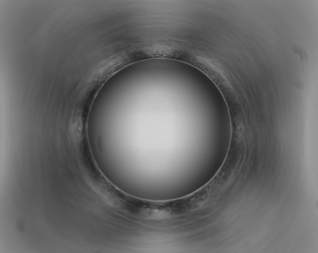 X0000113530498200909181138