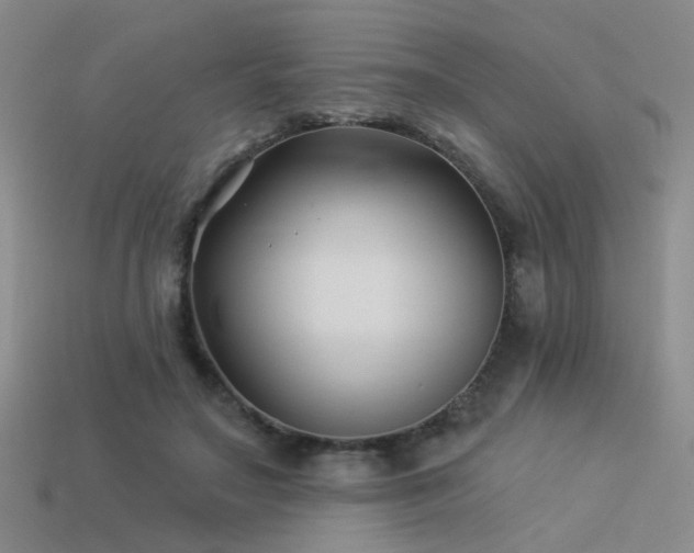 X0000113530499200909181138
