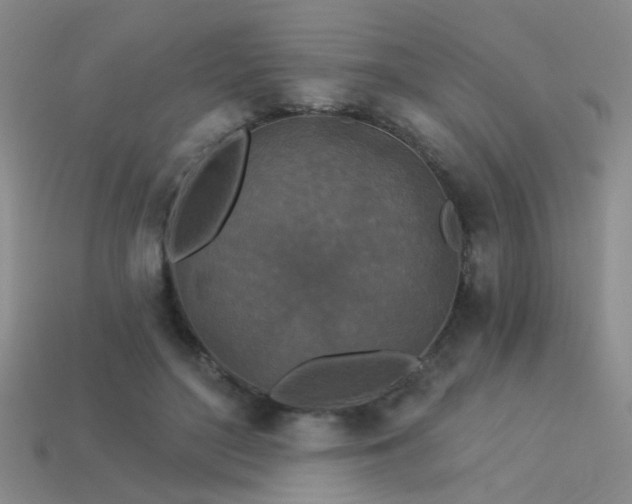 X0000113530500200909181138