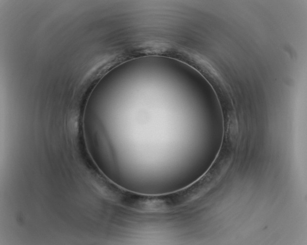X0000113530501200909181138