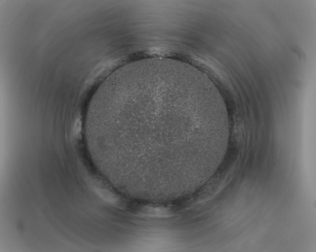 X0000113530502200909181138