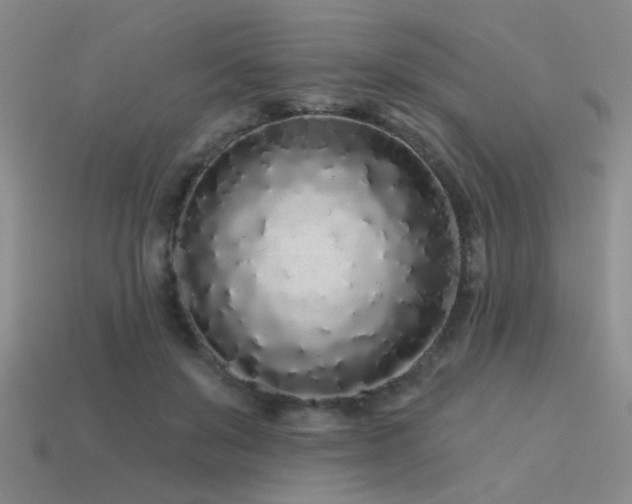 X0000113530503200909181138
