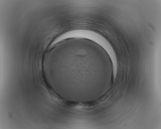 X0000113530504200909181138