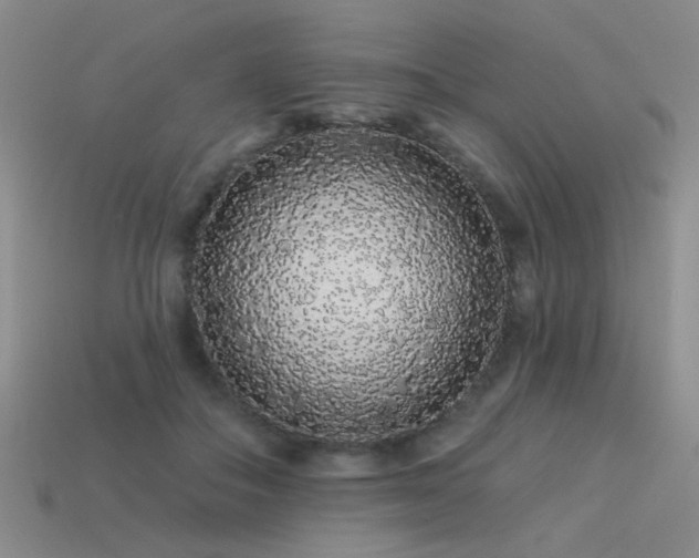 X0000113530506200909181138