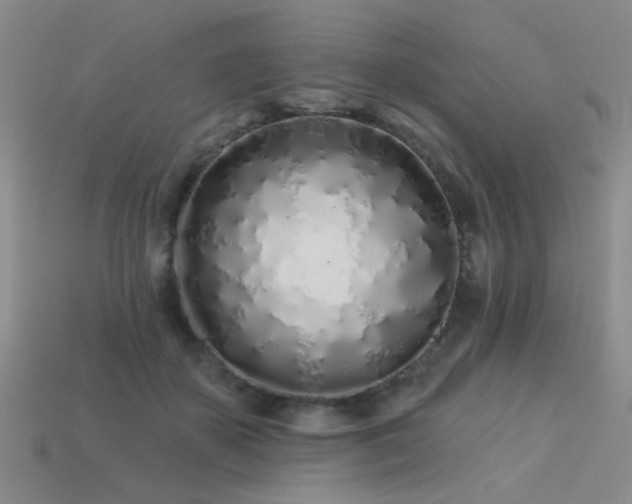 X0000113530507200909181138