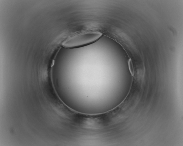 X0000113530508200909181138