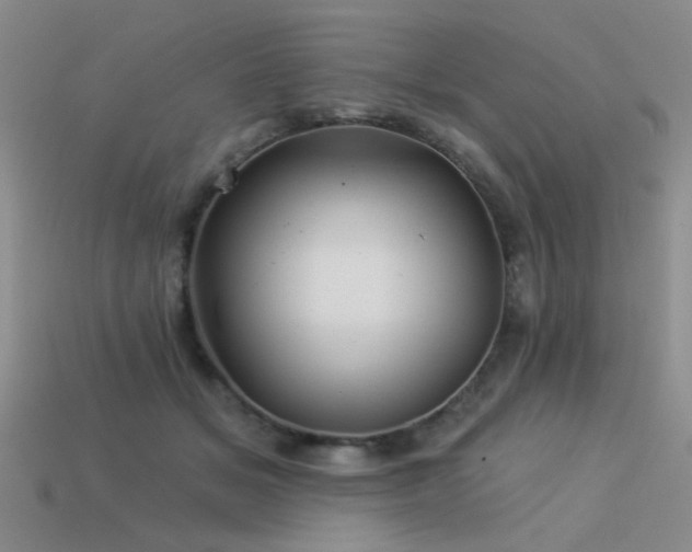 X0000113530509200909181138