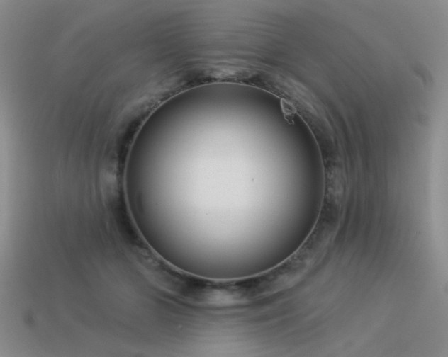 X0000113530510200909181138