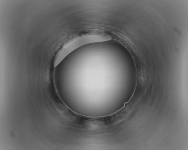 X0000113530512200909181138