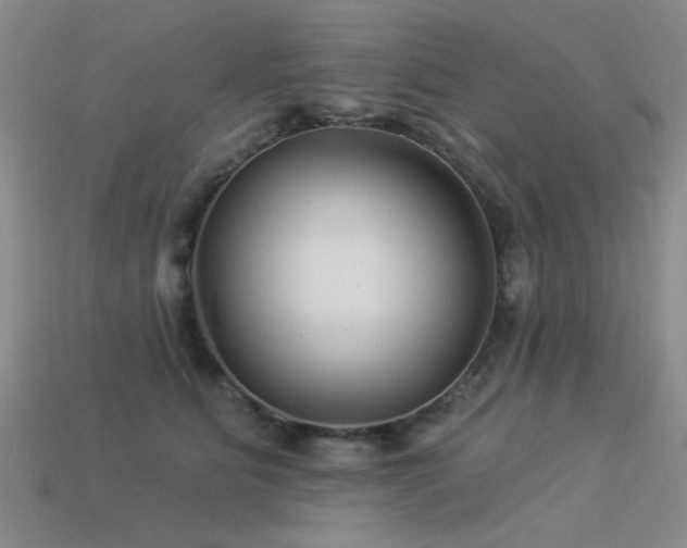 X0000113530515200909181138