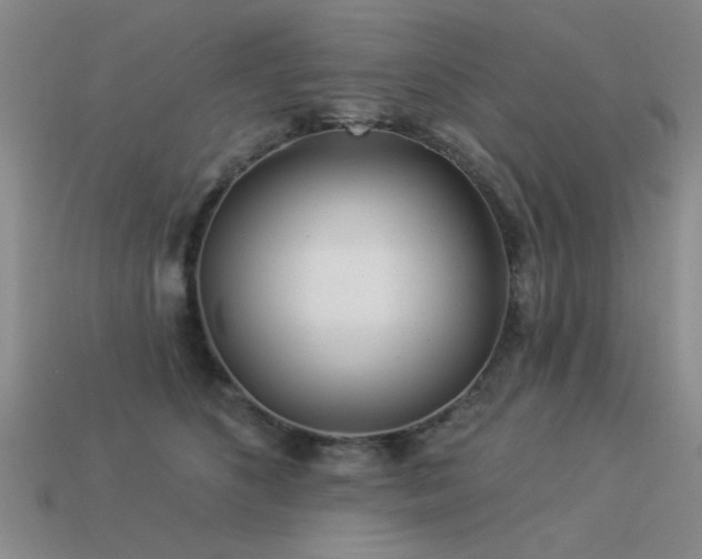 X0000113530516200909181138