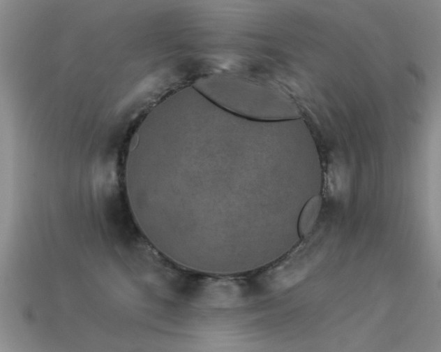 X0000113530520200909181137