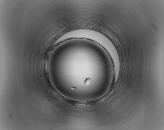 X0000113530521200909181137