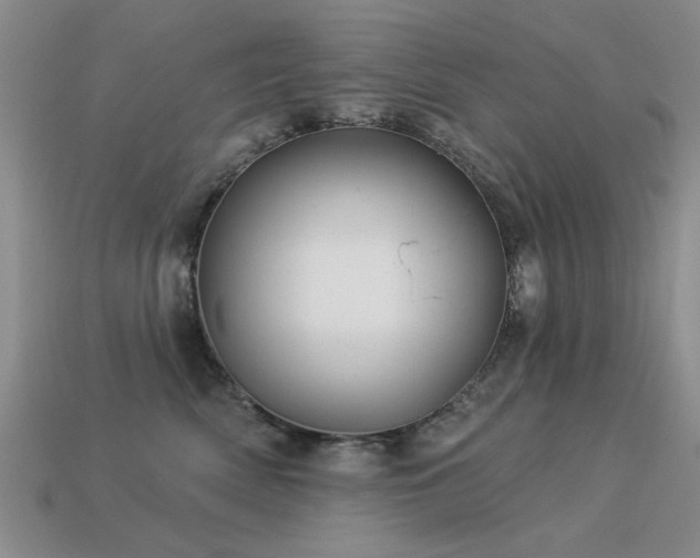 X0000113530522200909181137