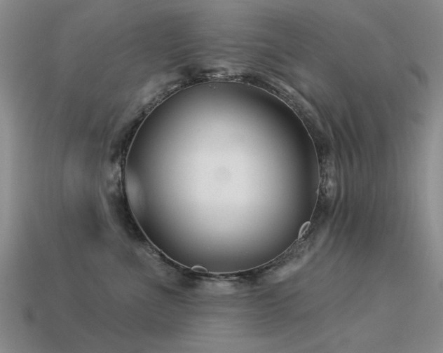 X0000113530523200909181137