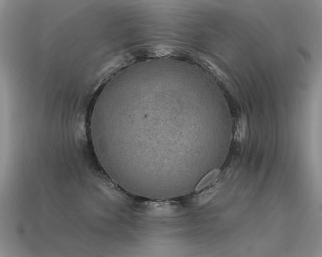 X0000113530524200909181137