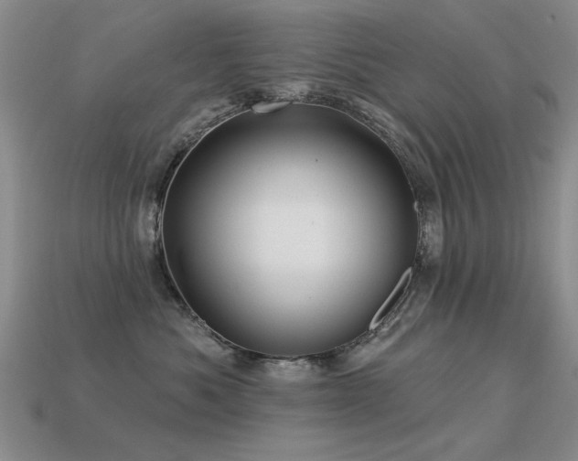 X0000113530525200909181137