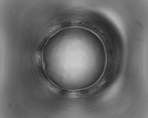 X0000113530527200909181137