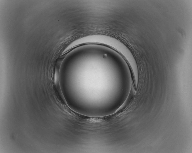 X0000113530528200909181137