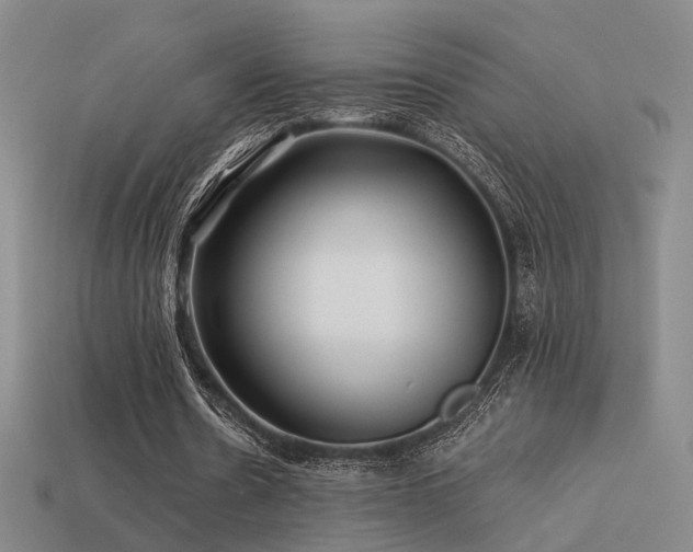 X0000113530530200909181137