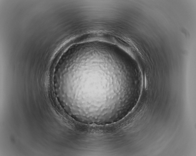 X0000113530531200909181137